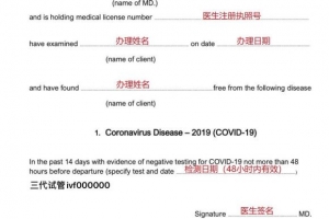 泰国医学健康证明怎么办理？解读泰国签证新政策，健康证明如何填写？