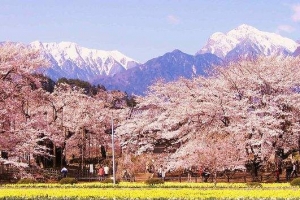 日本永驻者配偶或子女可申请入境日本