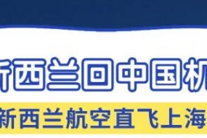 好消息！纽航8-10月飞中国航班，新西兰航空奥克兰 - 上海航线增加