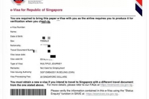 最新赴美路线：新加坡电子签证入境新加坡14天“洗白”后返回美国全过程!